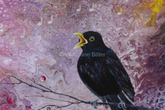 Arbeiten_auf_Leinwand-Acryl-Amsel-20x20cm